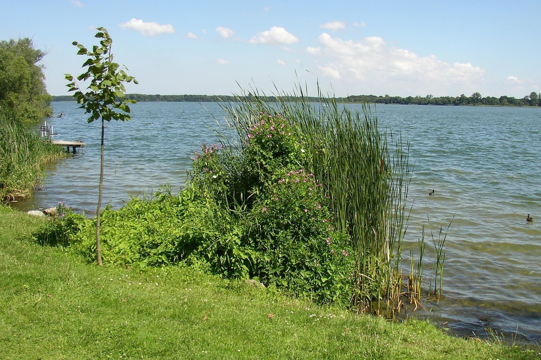 Biosphärenreservat Schaalsee, Deutschland