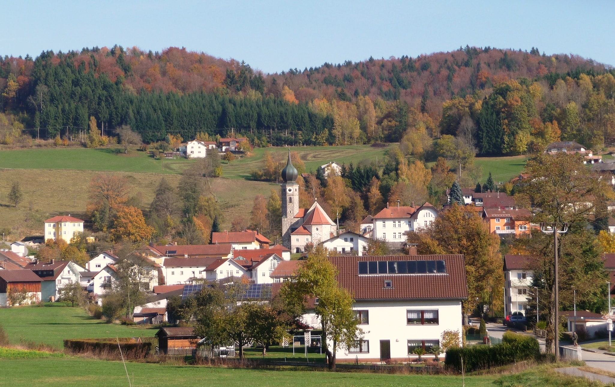 Ringelai, Allemagne