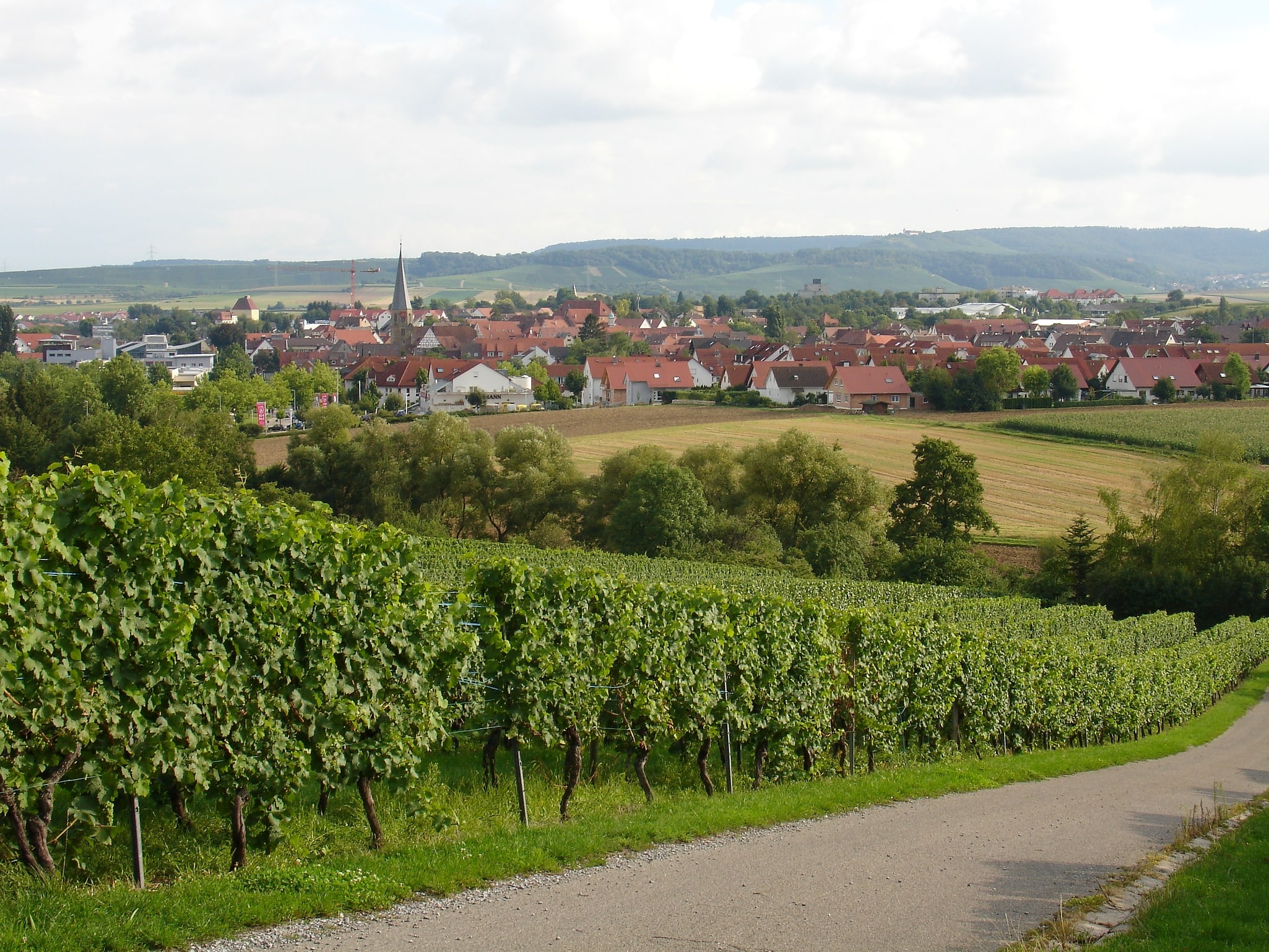 Brackenheim, Niemcy