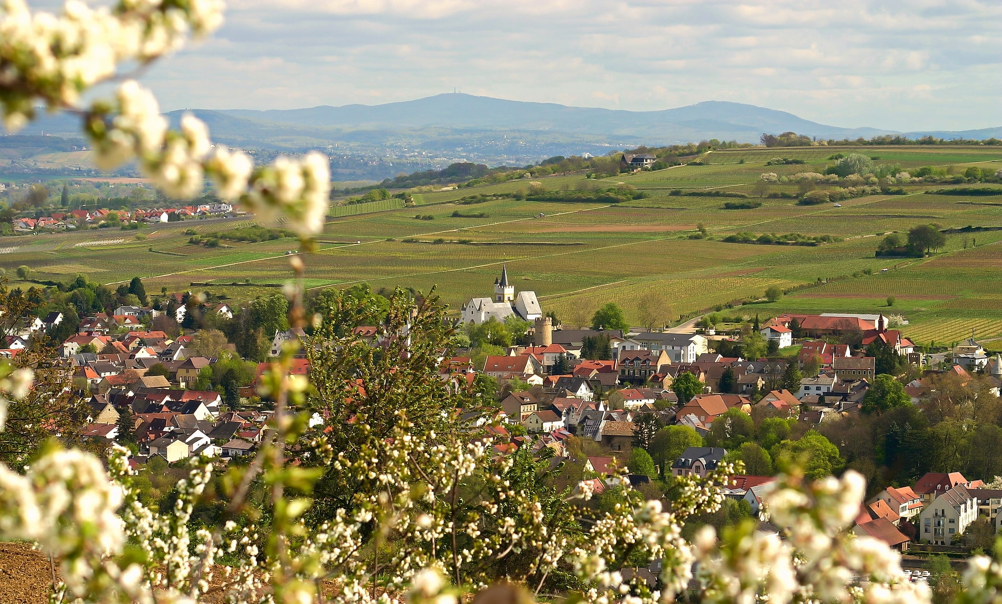 Ingelheim am Rhein, Alemania