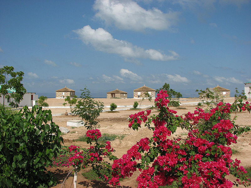 Île Moucha