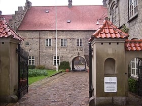 hospital of the holy ghost aalborg