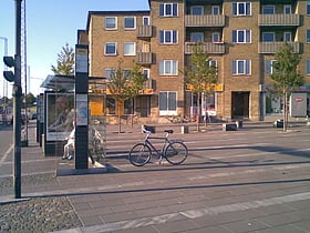 Aarhus V
