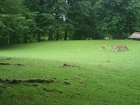 marselisborg deer park aarhus