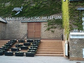 naturhistorisk museum aarhus