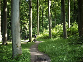 marselisborg forests aarhus