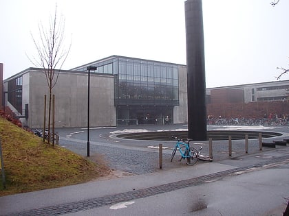 Universidad de Dinamarca del Sur
