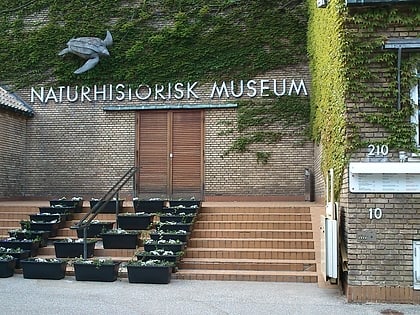 naturhistorisk museum aarhus
