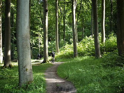 Marselisborg Forests