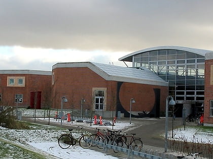 Université d'Aalborg