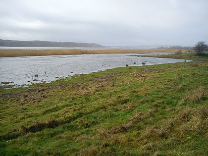 brabrand lake aarhus