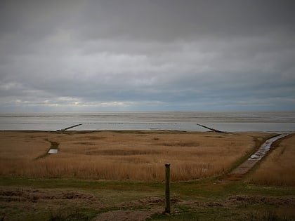 koresand nationalpark wattenmeer