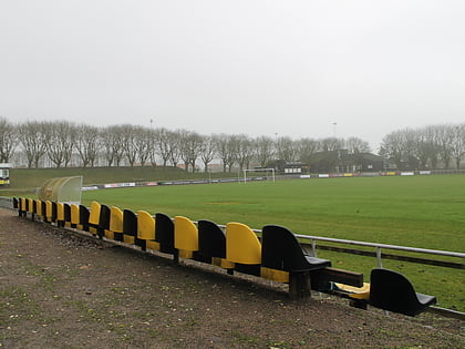 Riisvangen Stadion