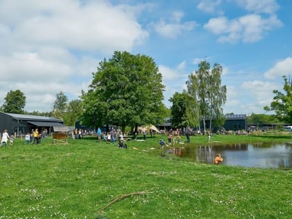 Randers Naturcenter - Havn