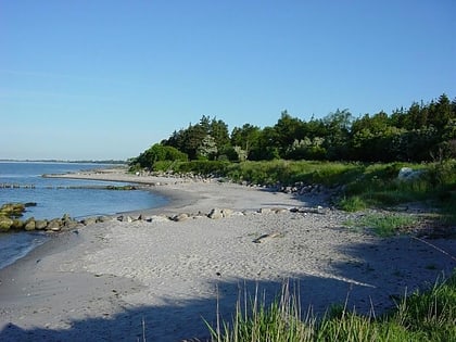 Playa Råbylille
