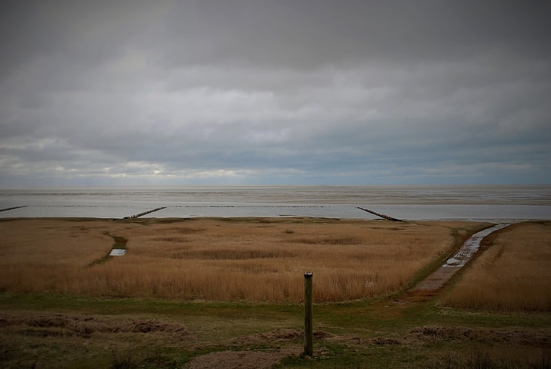 Parc national de la mer des Wadden