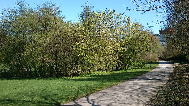 Langenæs Park