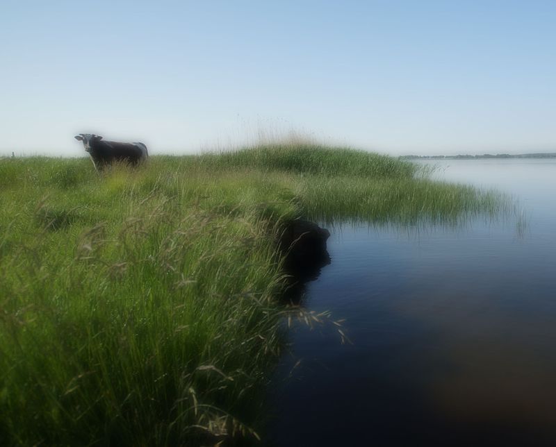 Coastline of Djursland