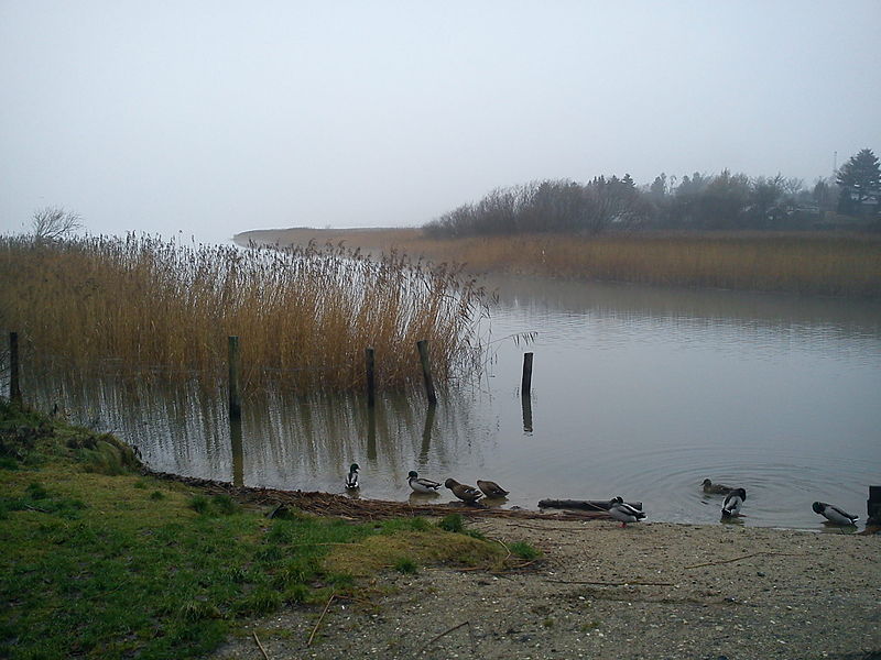 Brabrand Lake