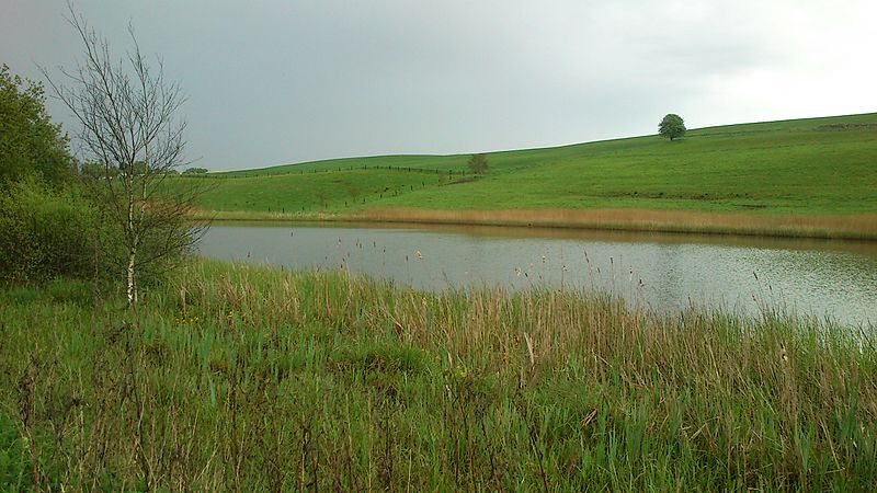 Geding Lake