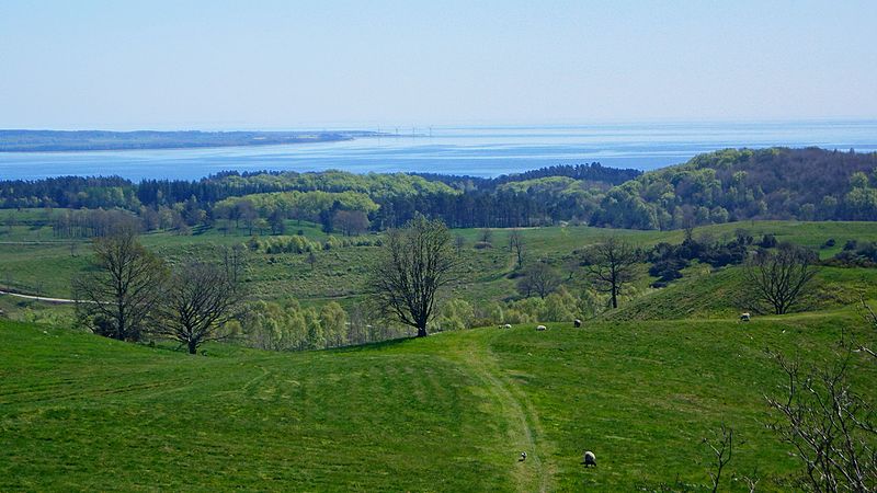 Agri Bavnehøj