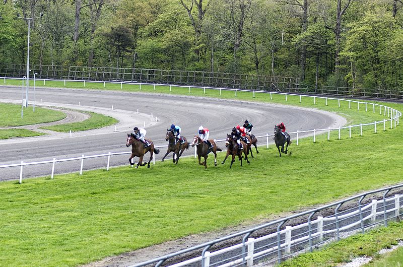 Jutland Racecourse