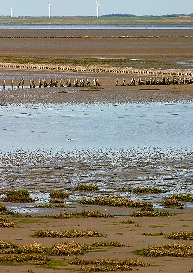 Nationalpark Wattenmeer, Dänemark