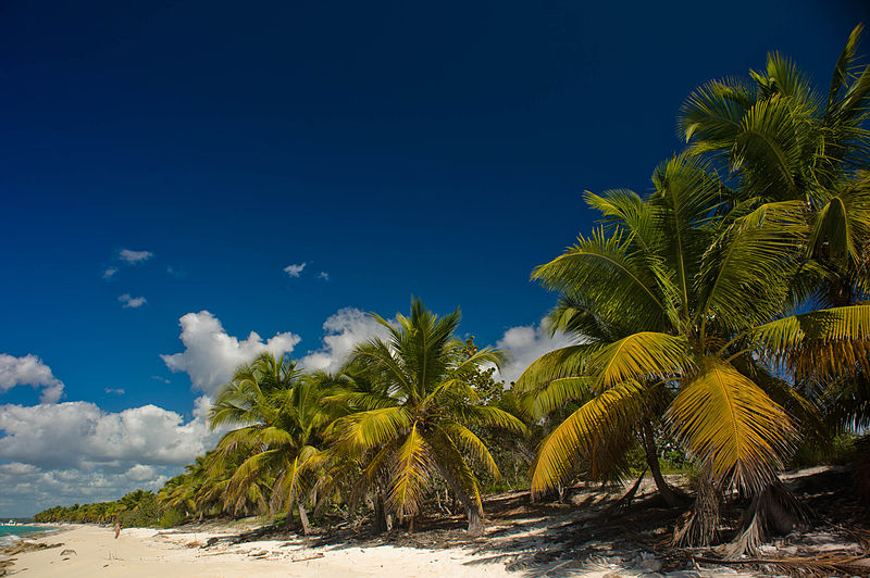 Île Catalina