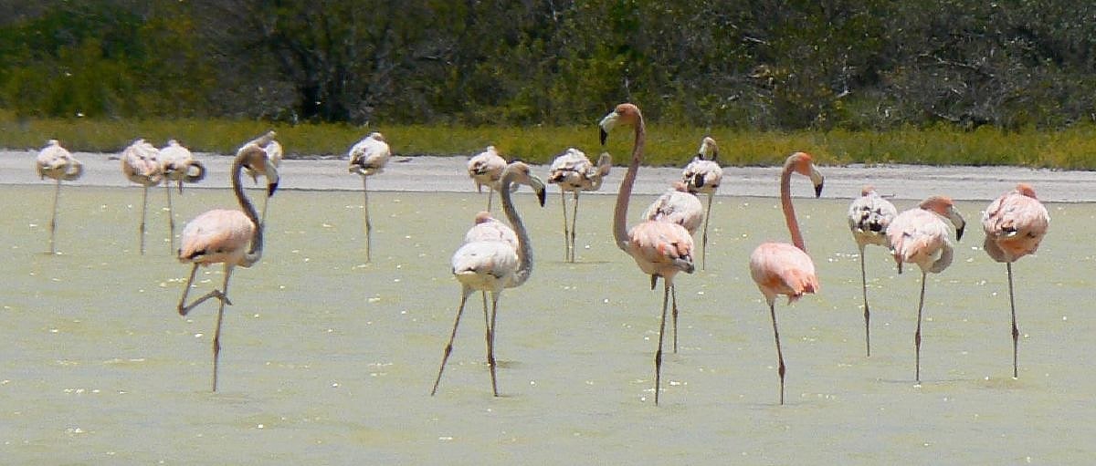 Park Narodowy Jaragua, Dominikana