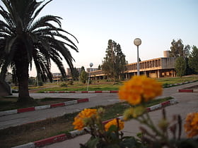 Université des sciences et de la technologie Houari-Boumédiène