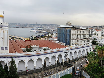 wielki meczet algier