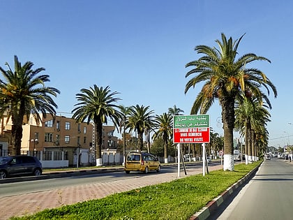 yahia boushaki algiers