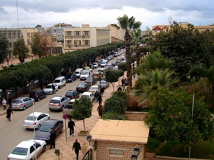 chlef
