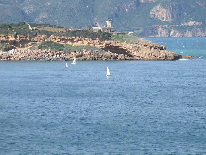 Tipaza