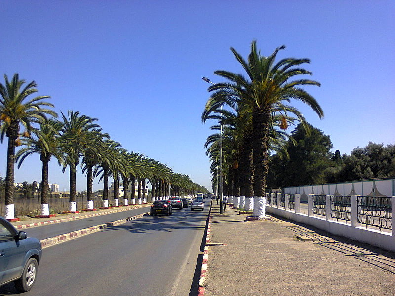 Cité Boushaki