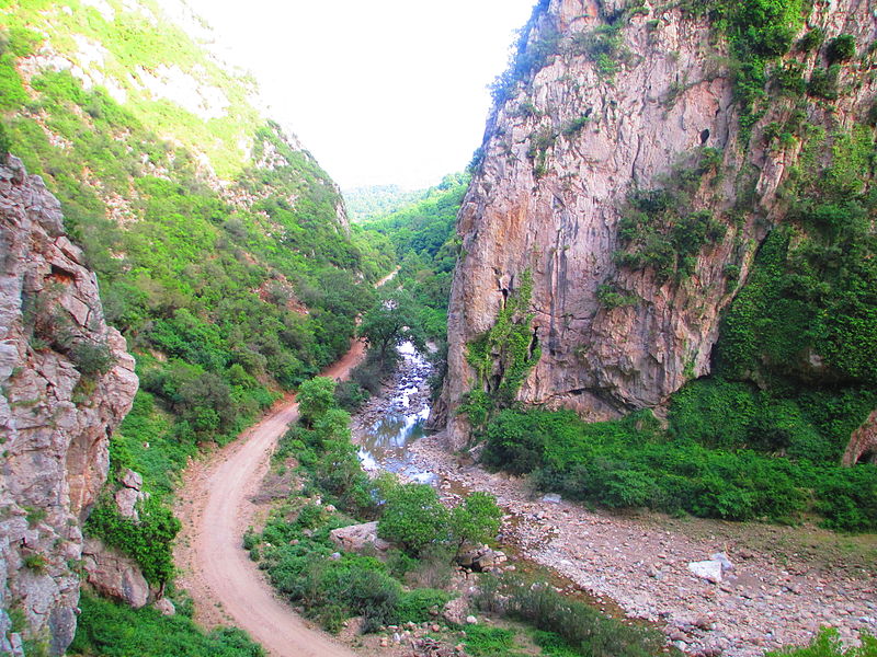 Taza National Park