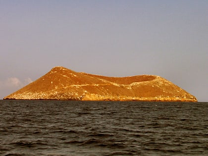 Île Daphne Mayor