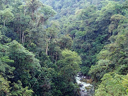 Park Narodowy Podocarpus