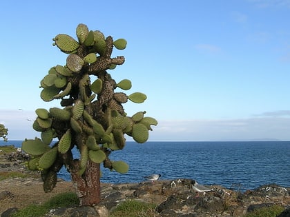 Isla Santa Fe
