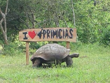 reserva de tortugas gigantes rancho primicias isla santa cruz