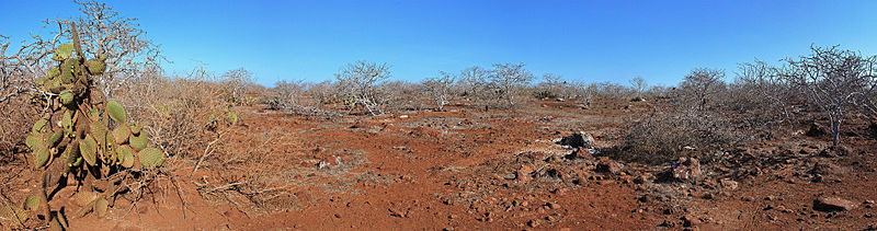 North Seymour Island