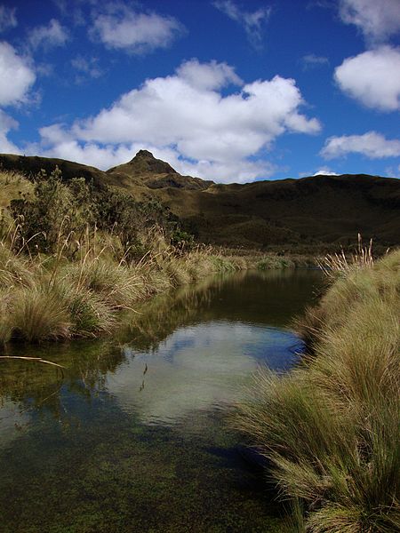 Cayambe Coca Ecological Reserve