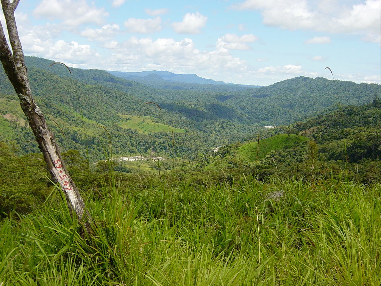 Parc national Sangay, Équateur