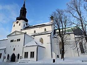 st marys cathedral tallin