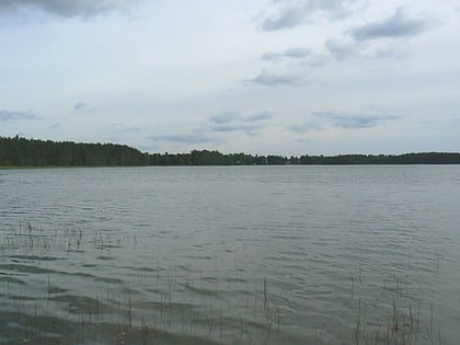 Pulli järv