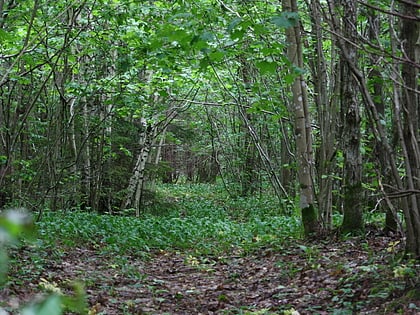 Viidumäe Nature Reserve