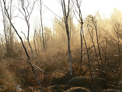 linnuraba nature reserve