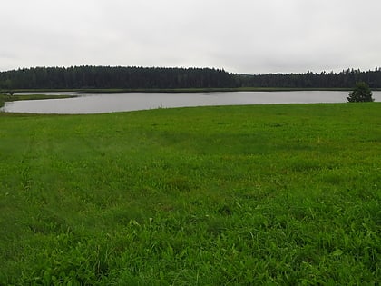 lake murati