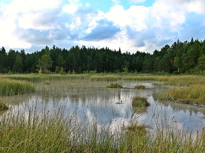valgejarv landscape conservation area