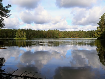paukjarv pohja korvemaa nature reserve